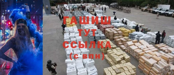 МДПВ Снежногорск